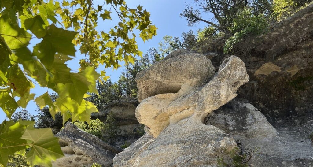 lost-maples-east-trail-003