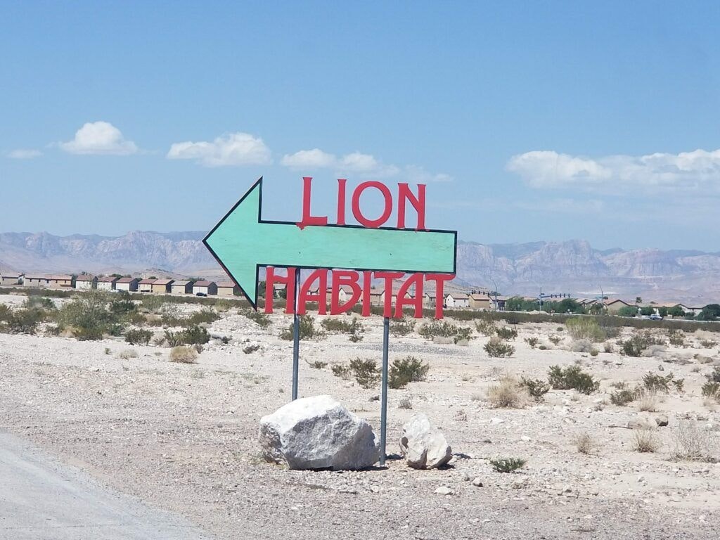 lion-habitat-ranch-002