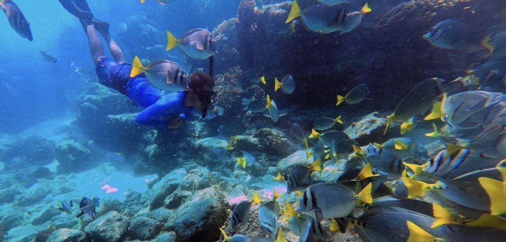 marietas-islands-002