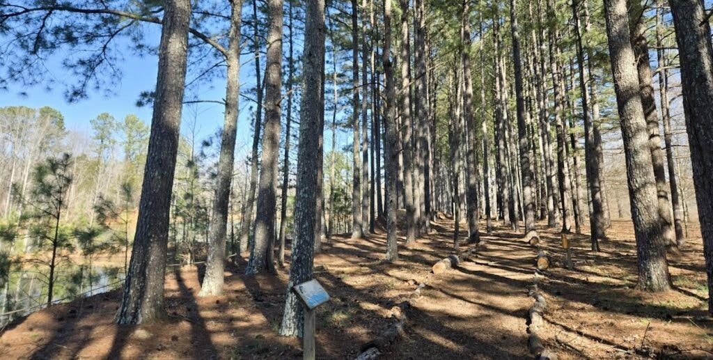 j-d-and-annie-s-hays-nature-preserve-001