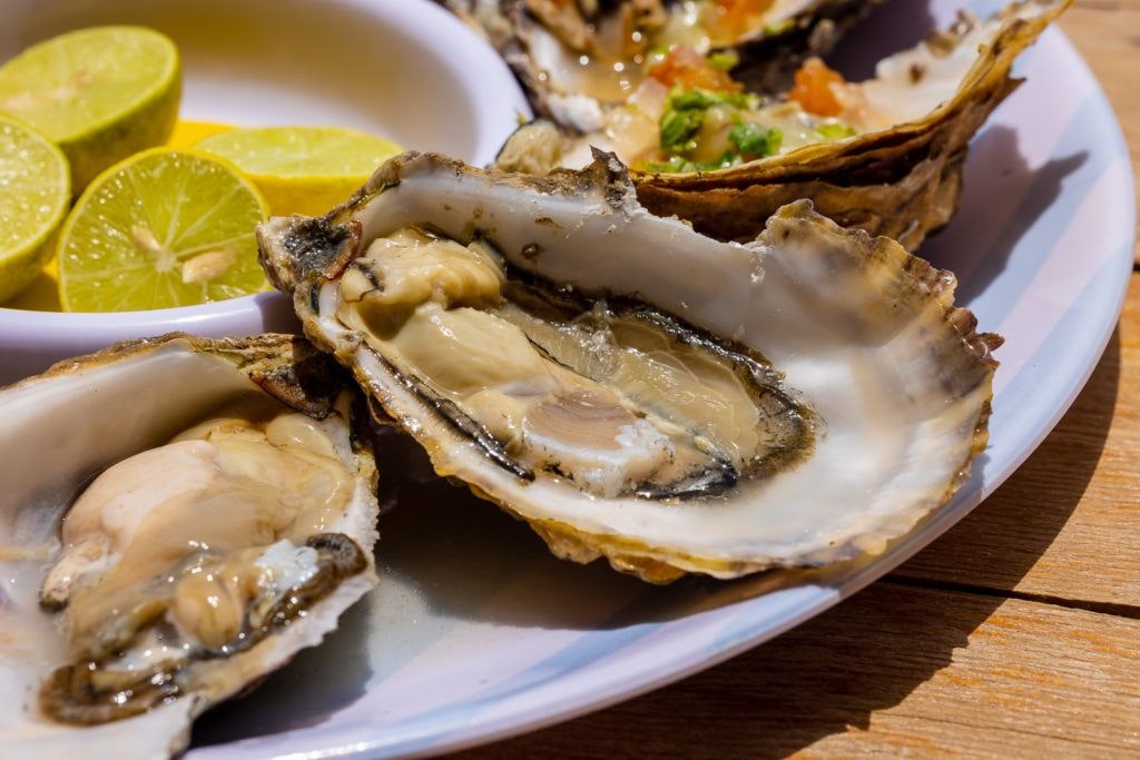 el-barco-ostionera-y-restaurante-oyster-farm-010
