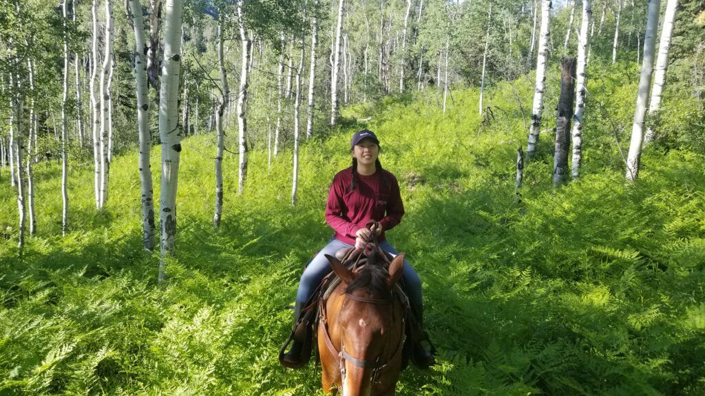 Lake of the Ozarks Trail Rldes