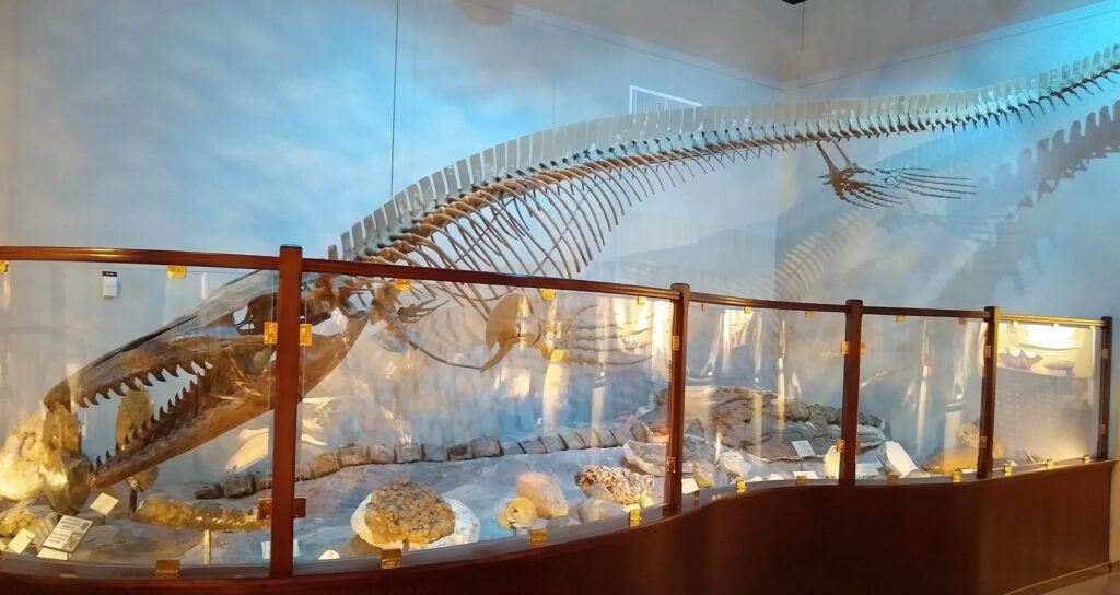 texas-science-and-natural-history-museum-002