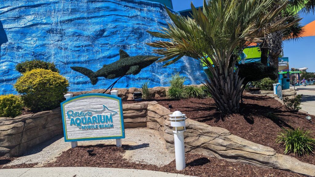 ripley-s-aquarium-of-myrtle-beach-002