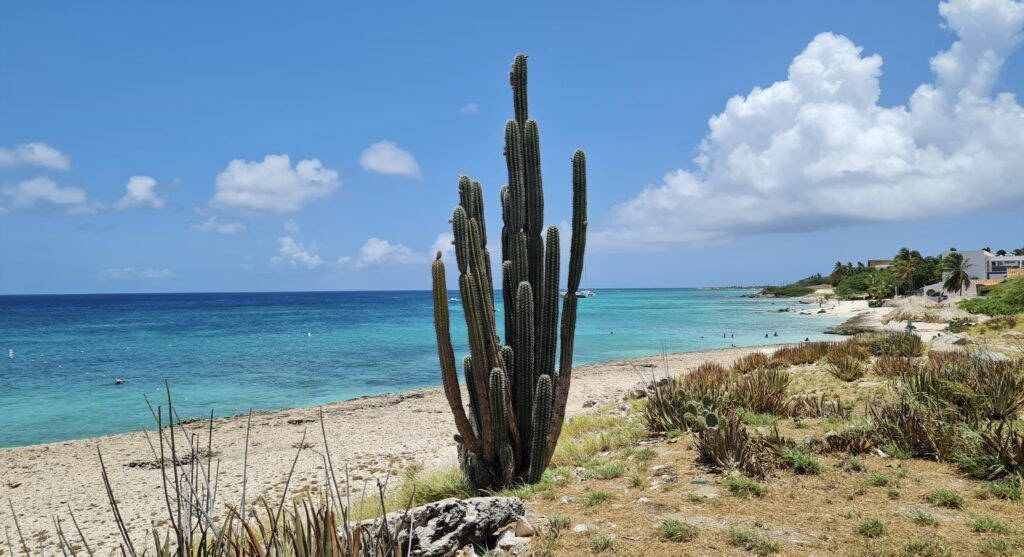 boca-catalina-beach-001