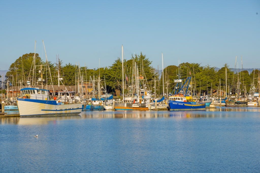 eureka-waterfront-and-old-town-015