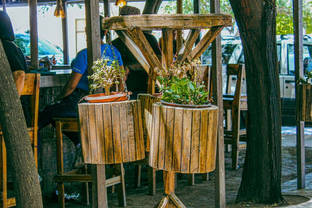 birrieria-los-mezquites-008