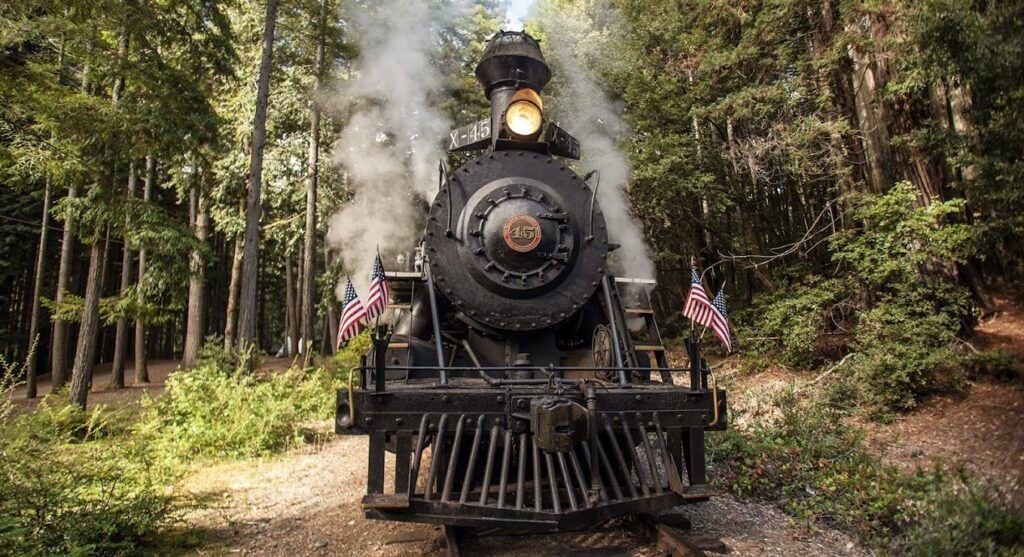 The Skunk Train