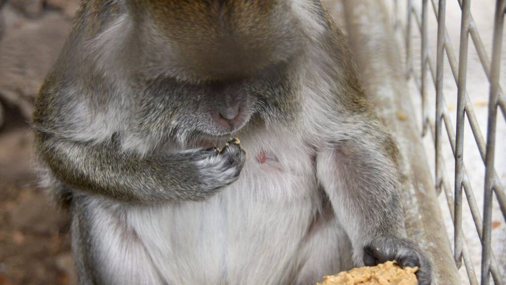 three-ring-ranch-exotic-animal-sanctuary-003