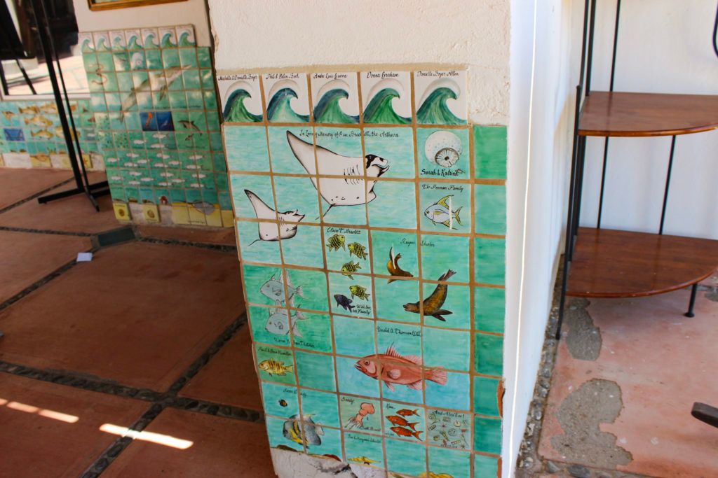 cedo-intercultural-center-for-the-study-of-deserts-and-oceans-015