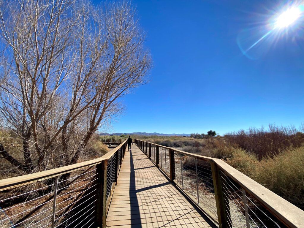 henderson-bird-viewing-preserve-004