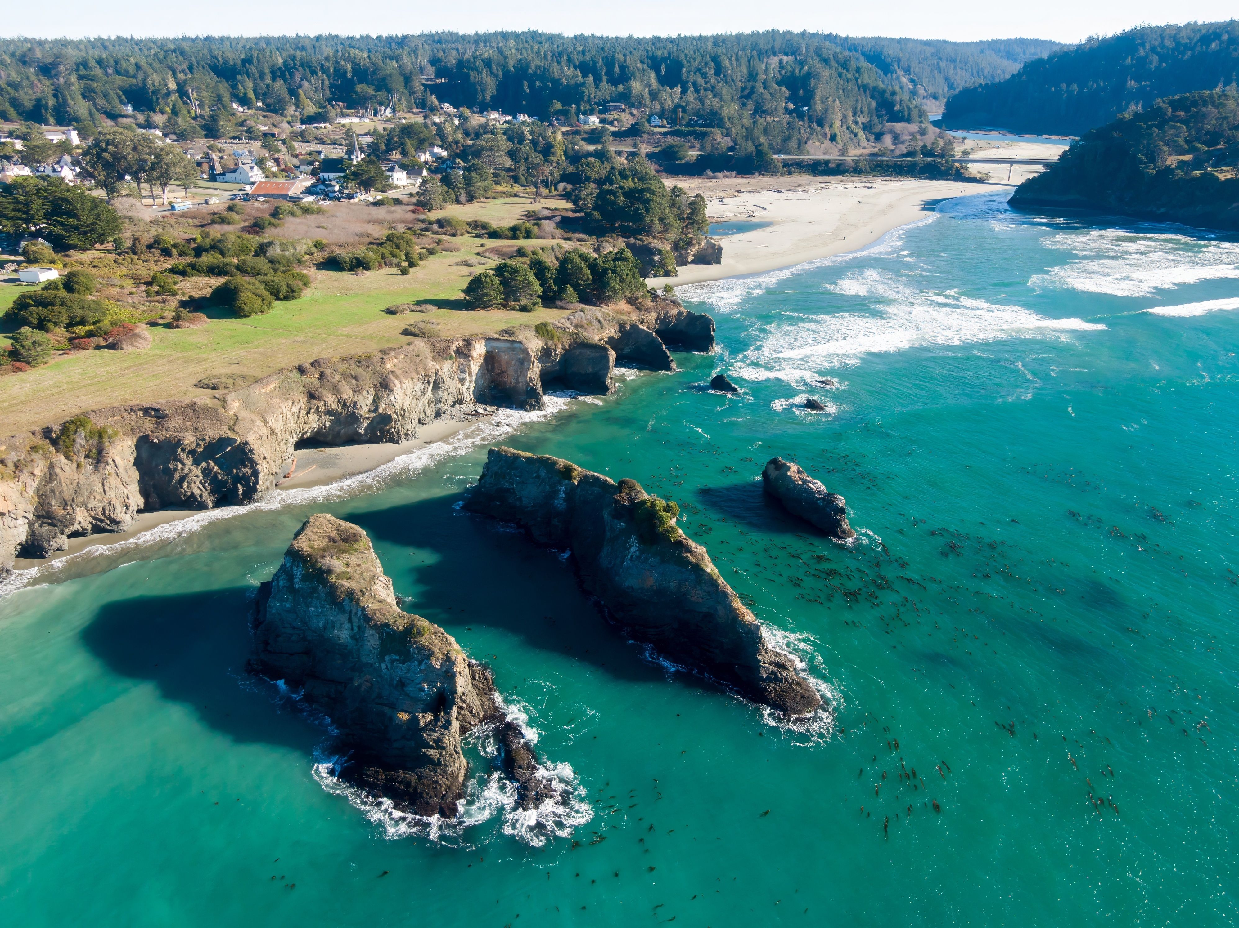 Mendocino Coast