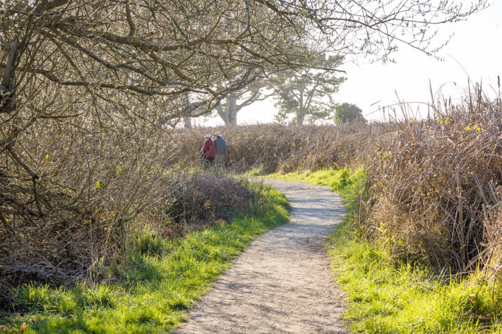 arcata-marsh-and-wildlife-sanctuary-013
