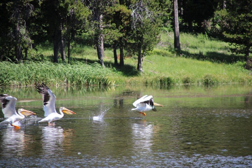 harriman-state-park-004