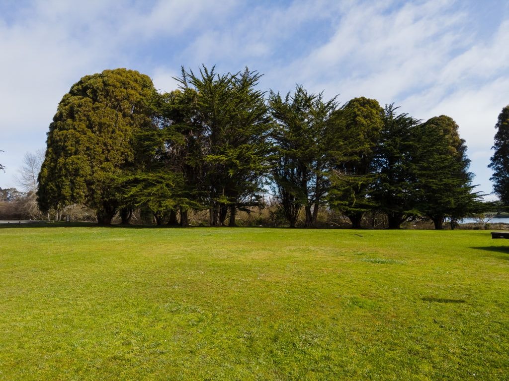 woodley-island-marina-015