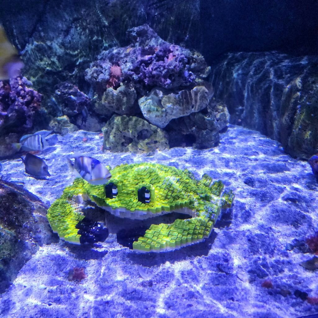 sea-life-aquarium-019