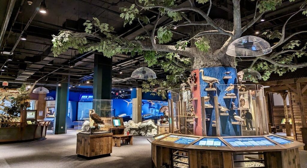 mcwane-science-center-002