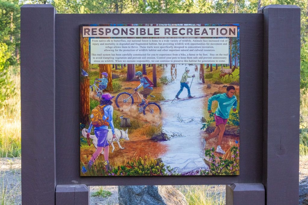 cardinal-landing-bridge-003