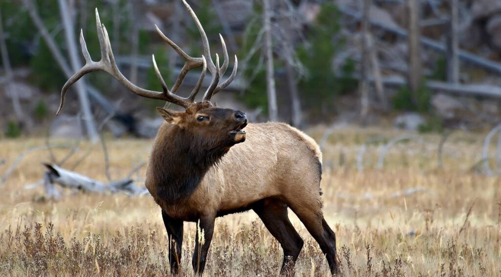 mk-nature-center-idaho-fish-and-game-001
