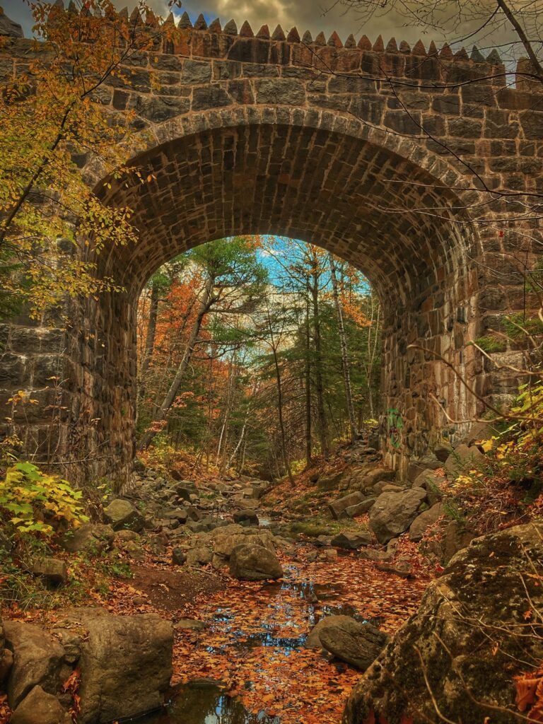 Magney-Snively Natural Area