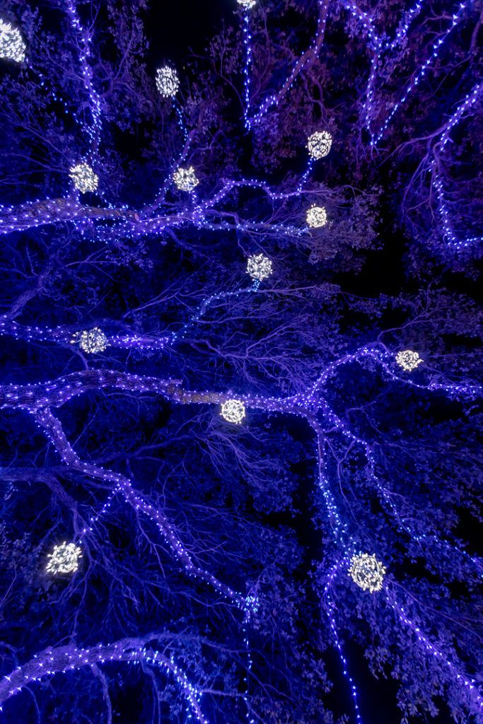 holiday-in-the-gardens-012