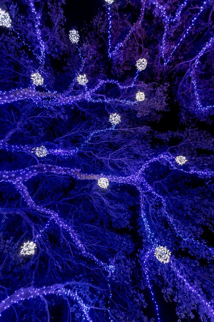 holiday-in-the-gardens-012