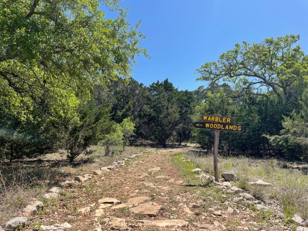 jacobs-well-spring-008
