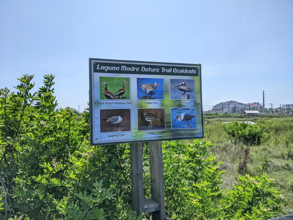 laguna-madre-nature-trail-002