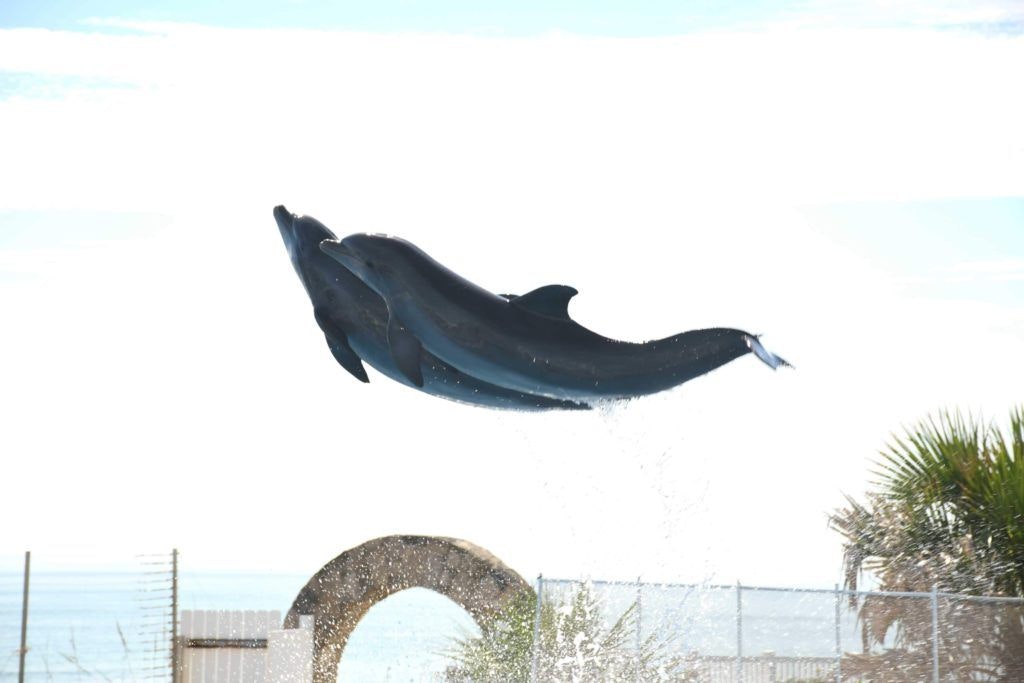 marineland-002