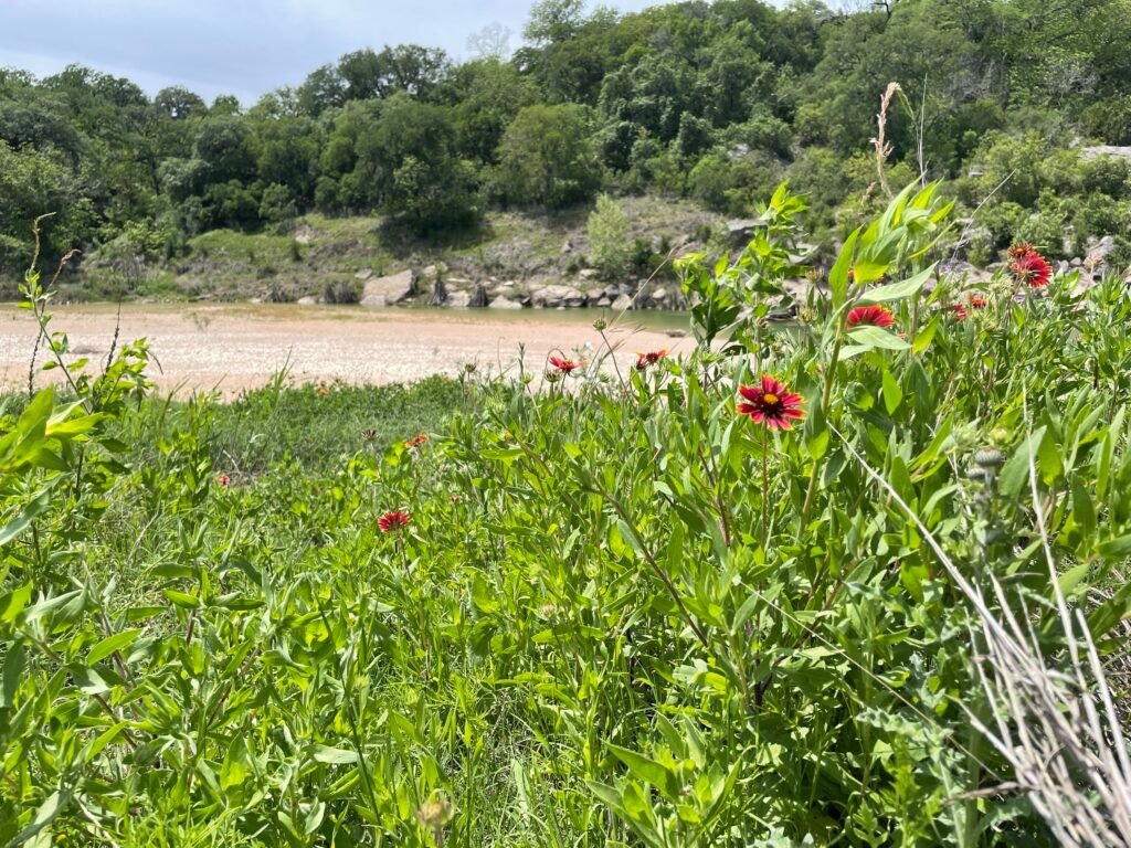 milton-reimers-ranch-park-006