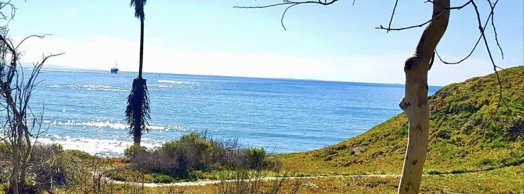 coronado-butterfly-preserve-003