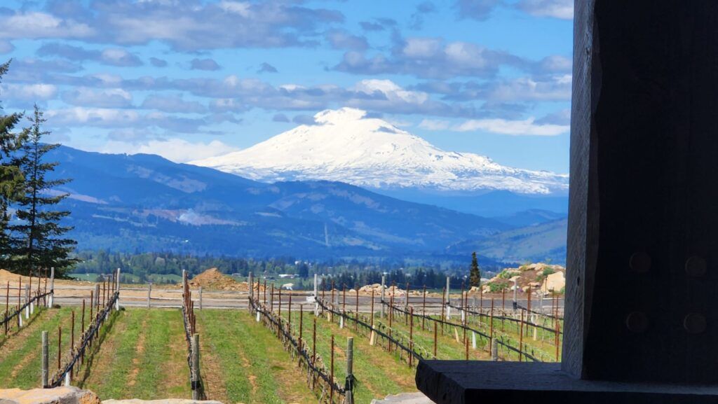 willamette-valley-tour-003