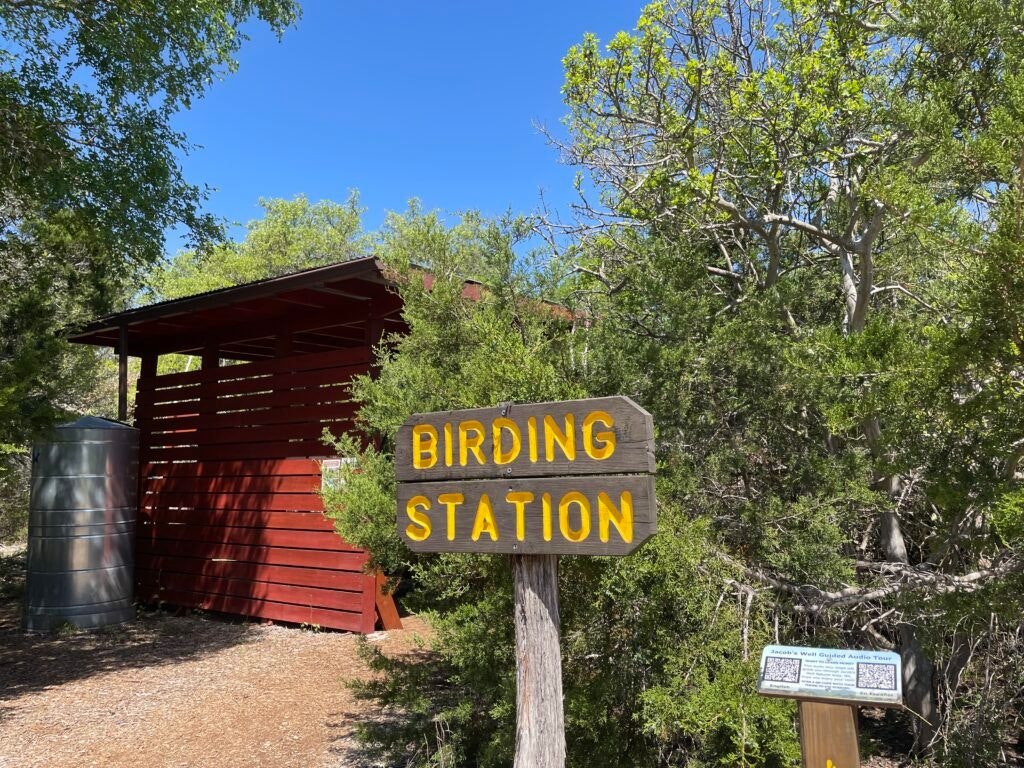 jacobs-well-spring-004