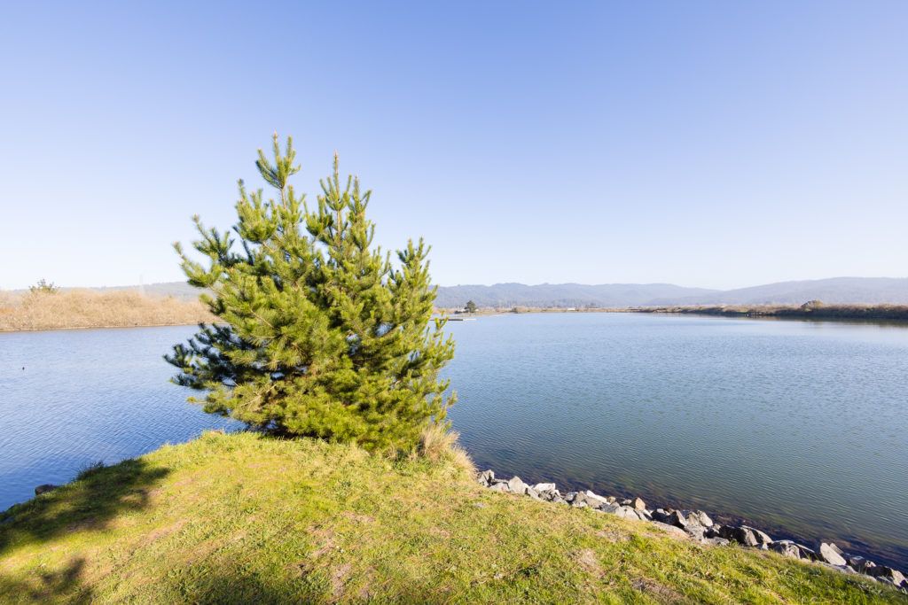 arcata-marsh-and-wildlife-sanctuary-004