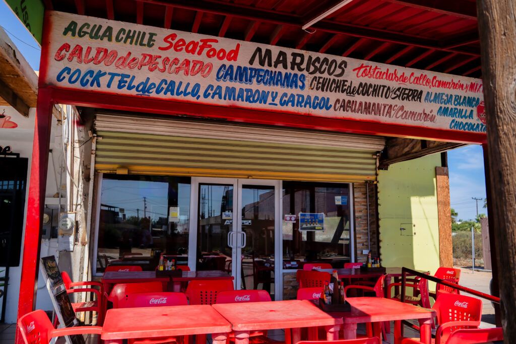 el-calamar-gigante-015