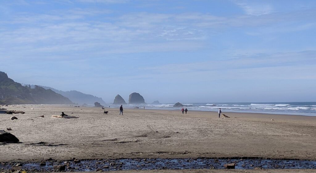 tolovana-beach-state-recreation-site-004