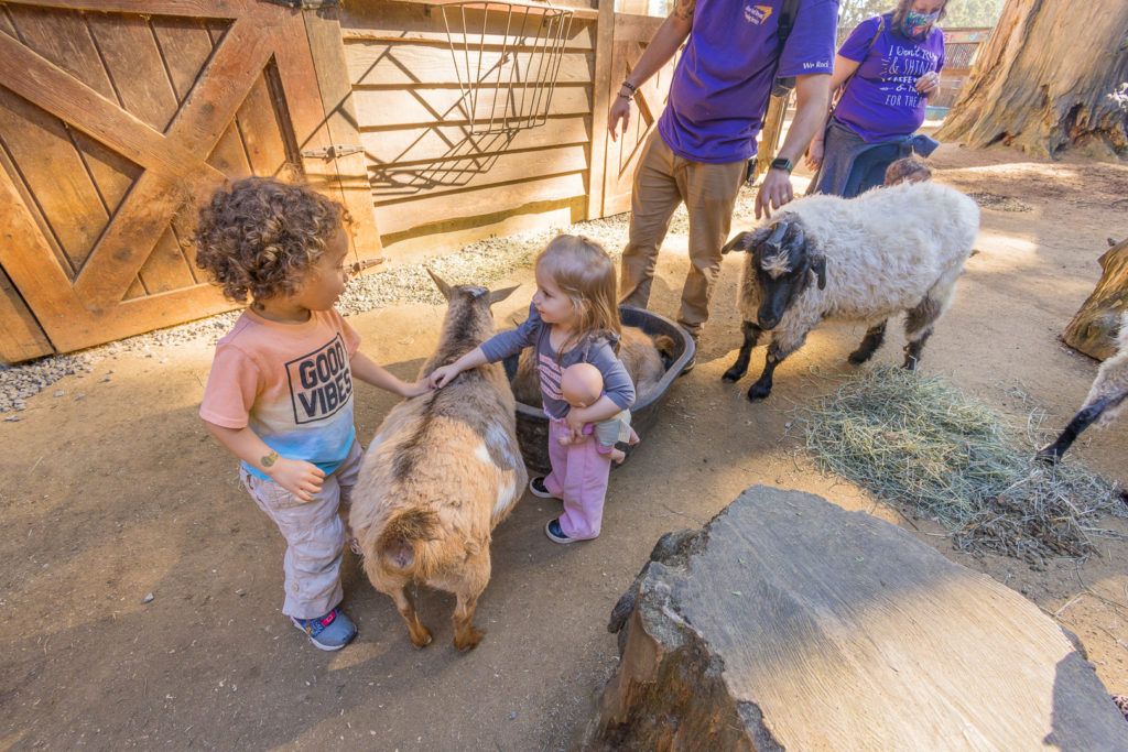 Sequoia Park Zoo & Redwood Sky Walk
