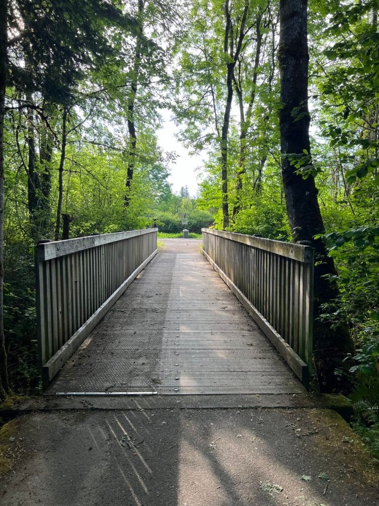 minto-brown-island-park-002