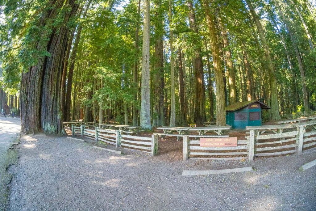 sequoia-park-garden-006