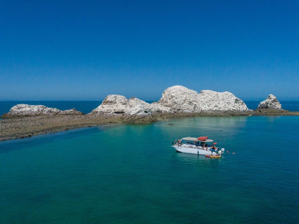 bird-island-isla-san-jorge-006