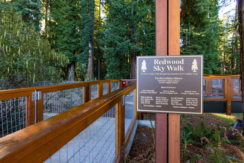 sequoia-park-zoo-and-redwood-sky-walk-013