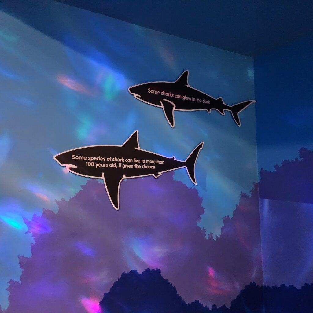 sea-life-aquarium-008