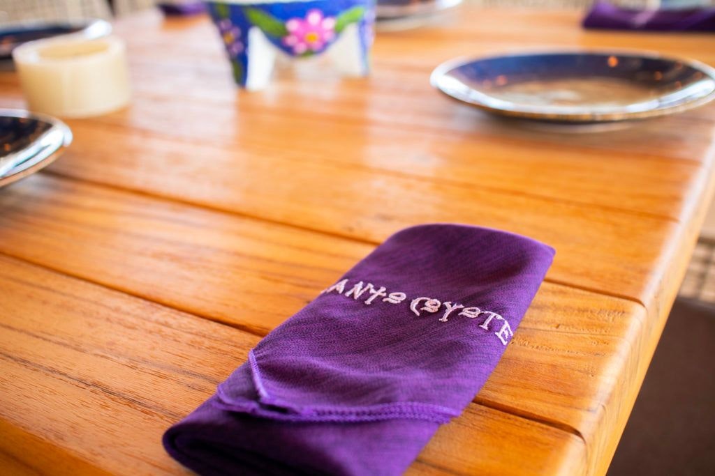 santo-coyote-ocean-cantina-encantame-towers-033