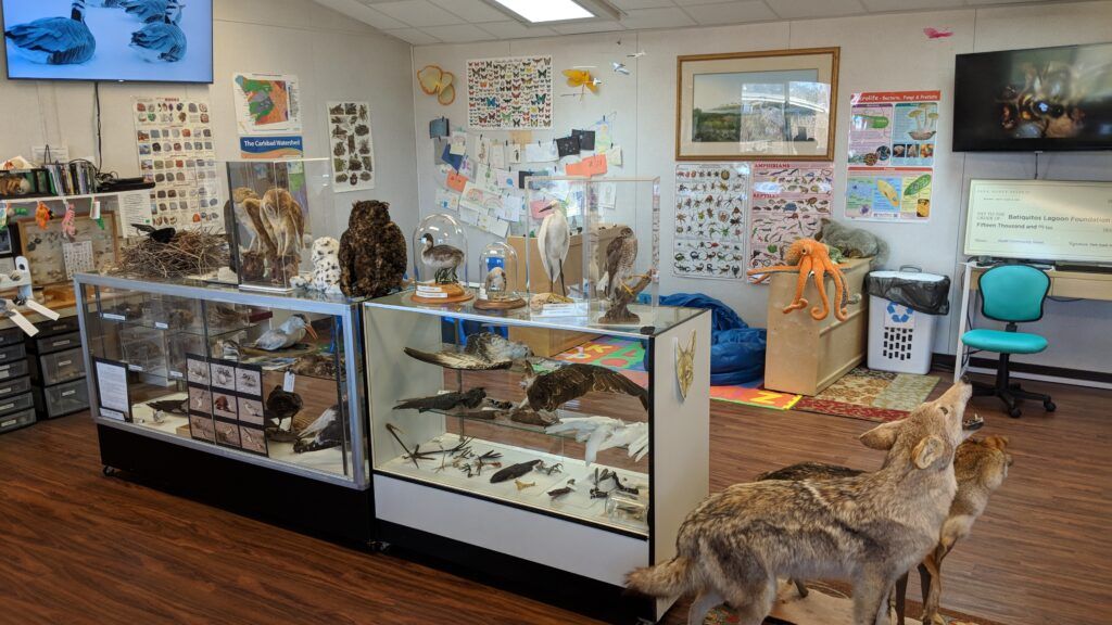 batiquitos-lagoon-foundation-003