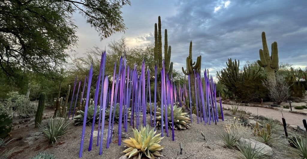 desert-botanical-garden-002