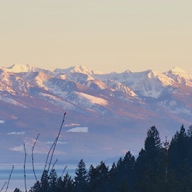 Flathead National Forest