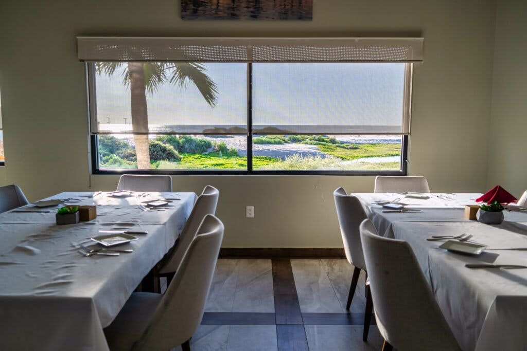 infusion-del-golfo-024