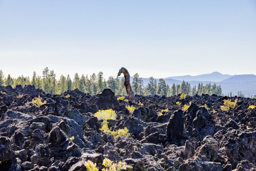 lava-butte-and-lands-visitor-center-028