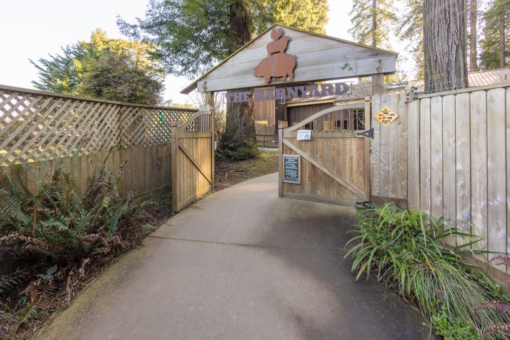 sequoia-park-zoo-and-redwood-sky-walk-006