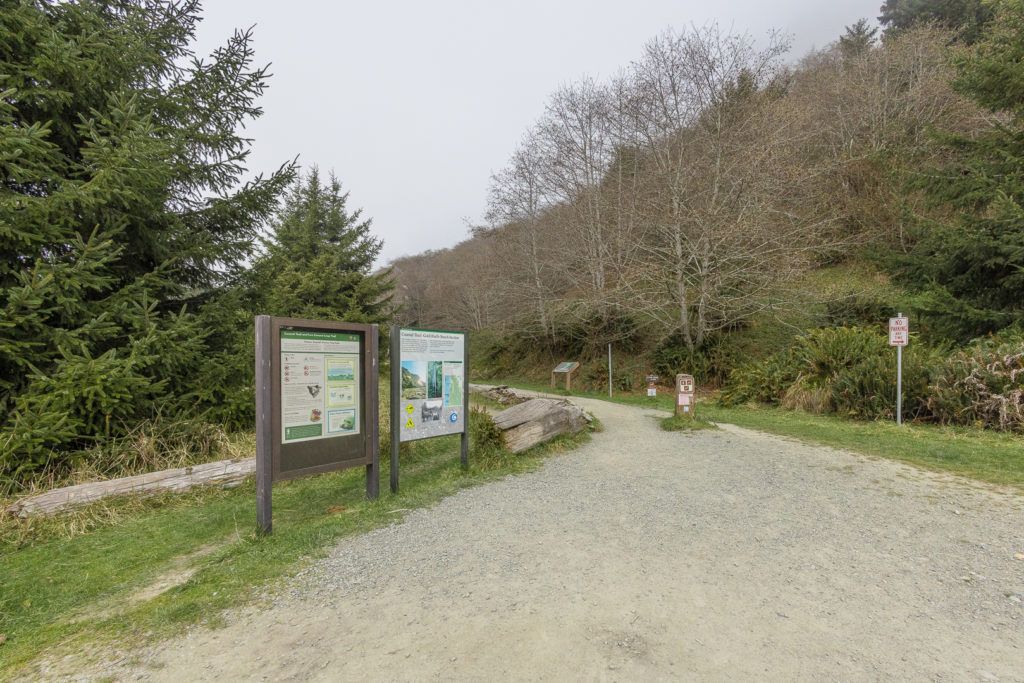 fern-canyon-inside-prairie-creek-redwoods-state-park-008